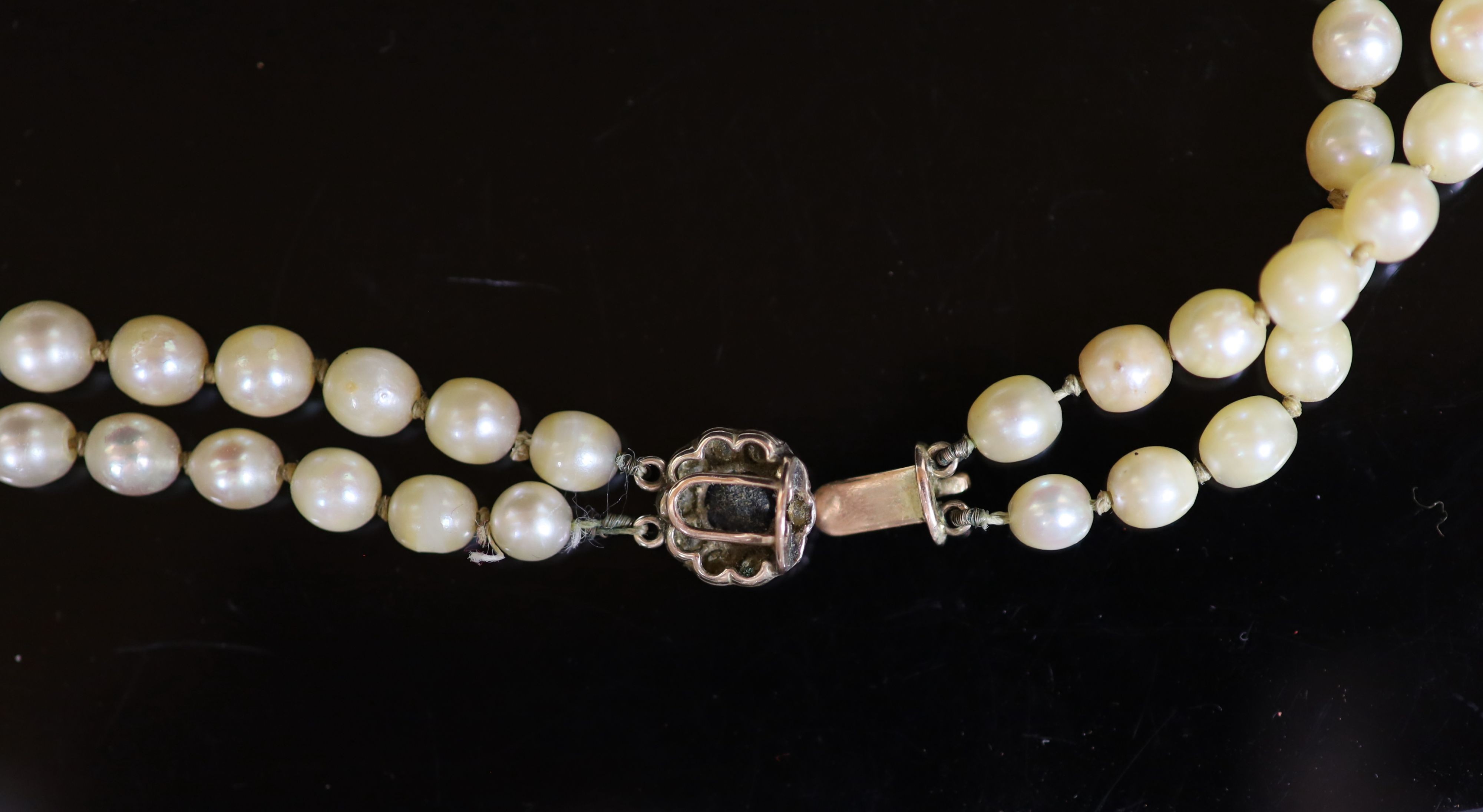 An early 20th century double strand graduated cultured pearl choker necklace, with sapphire and diamond cluster set gold clasp